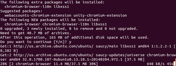 Ubuntu Terminal showing sample output from the sudo apt-get install command